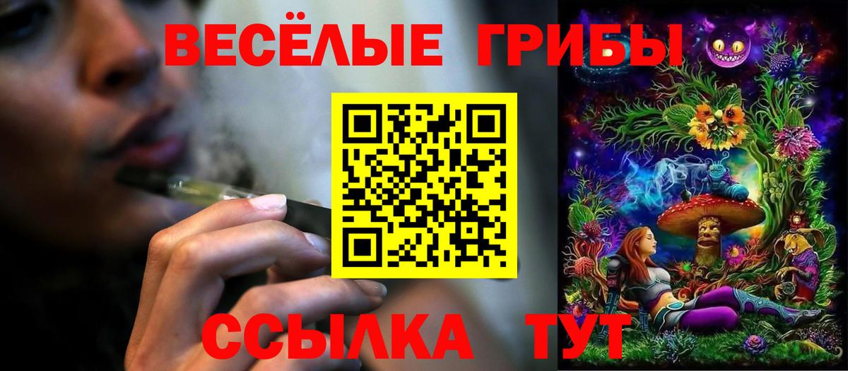 Углич  Псилоцибиновые грибы Magic Shrooms  Вход с VPN 