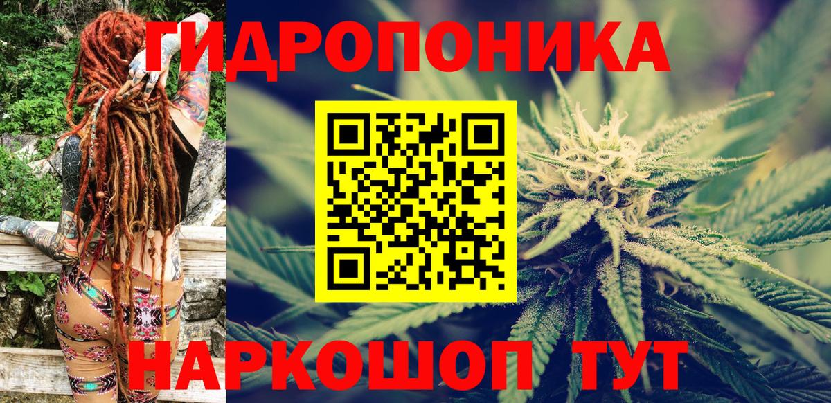 Шишки марихуана конопля Углич